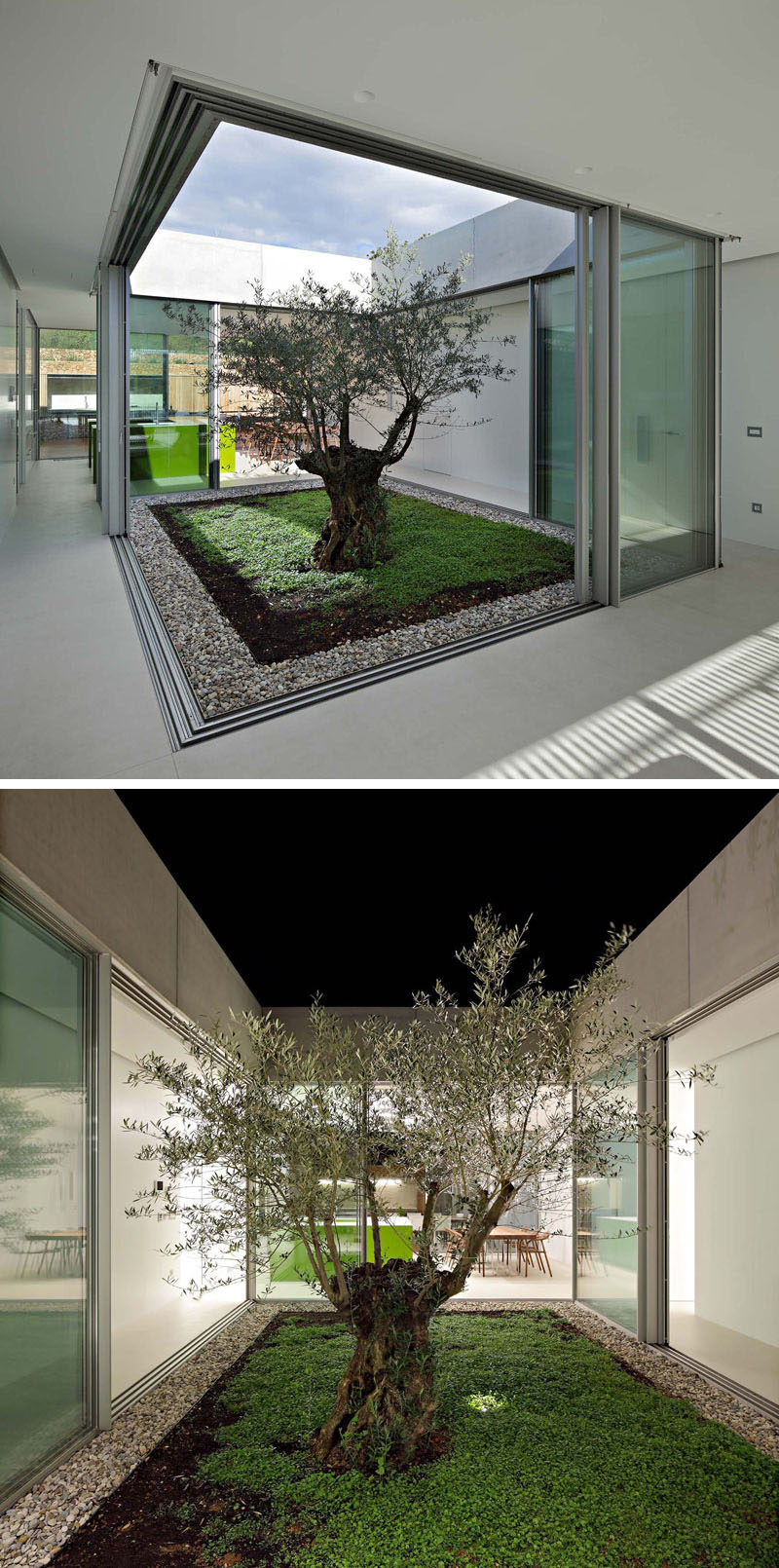 This modern home has a glass atrium with a single olive tree, that's the heart of the house. All of the different living areas of the home surround the atrium and it's a place where the boundary between the interior and exterior disappears. #Atrium #InteriorAtrium #ModernArchitecture