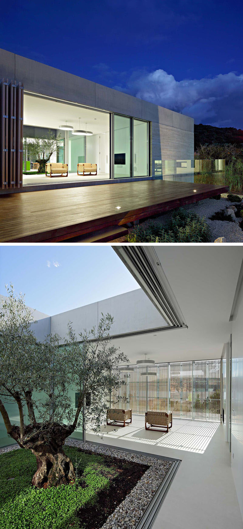 This minimalist living room opens to a deck that overlooks the garden, while behind it is an atrium with a single olive tree. #Atrium #Architecture #LivingRoom #ModernHouse