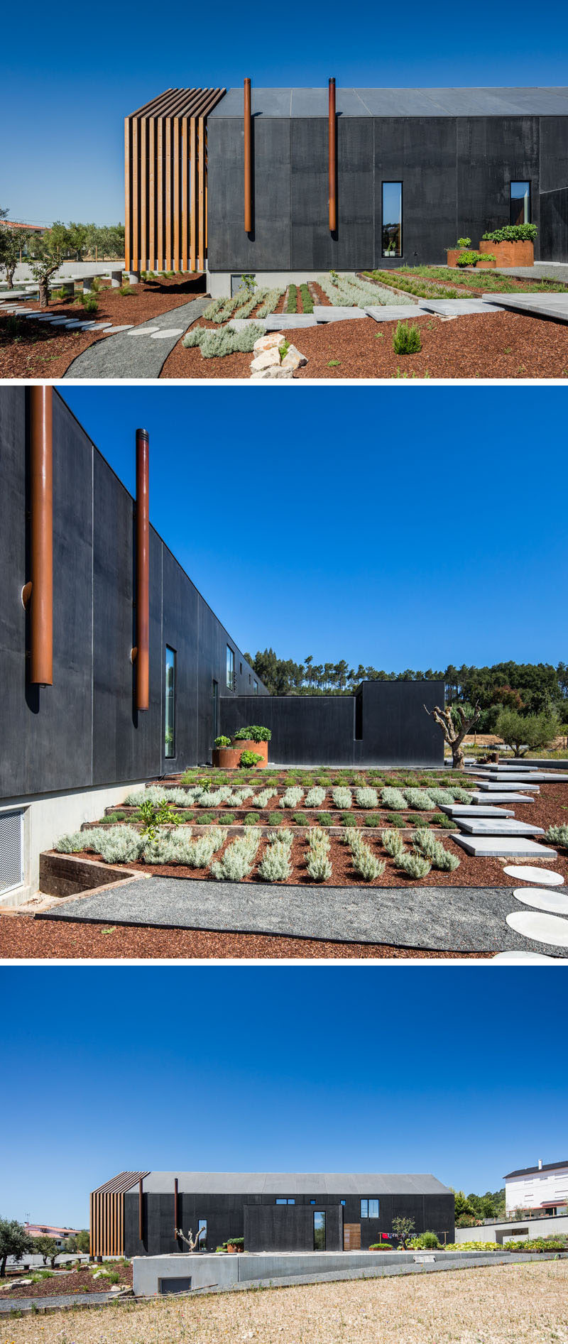 A path leads to the side of this modern house where there's a terraced landscaped garden with rows of plants. #Garden #ModernGarden #Landscaping