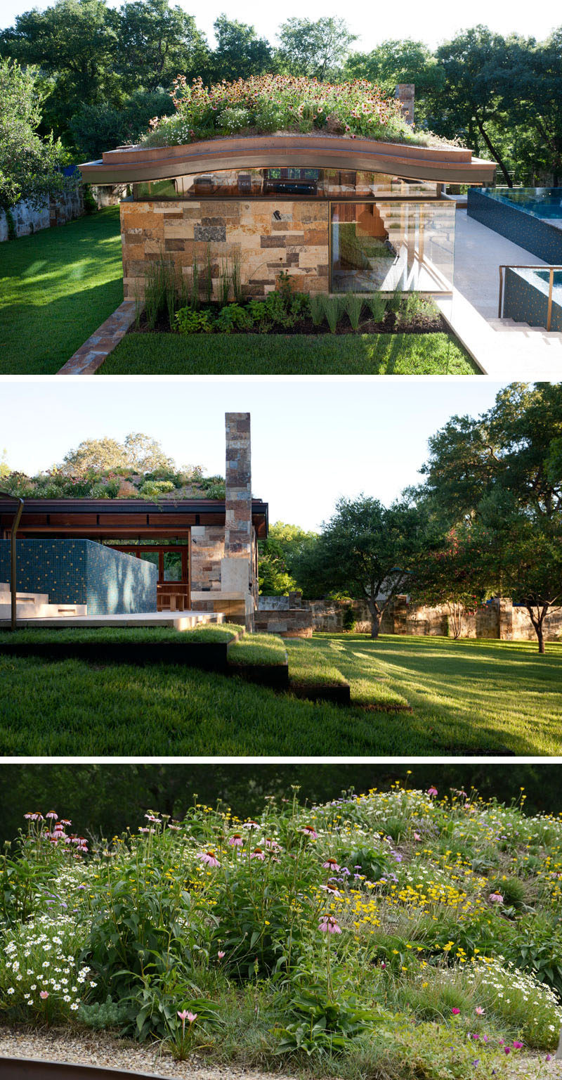 Murray Legge Architecture have designed a modern pool house, swimming pool, spa and terraced landscape for a home in Westlake Hills, Texas. #PoolHouse #GreenRoof #SwimmingPool #Landscaping