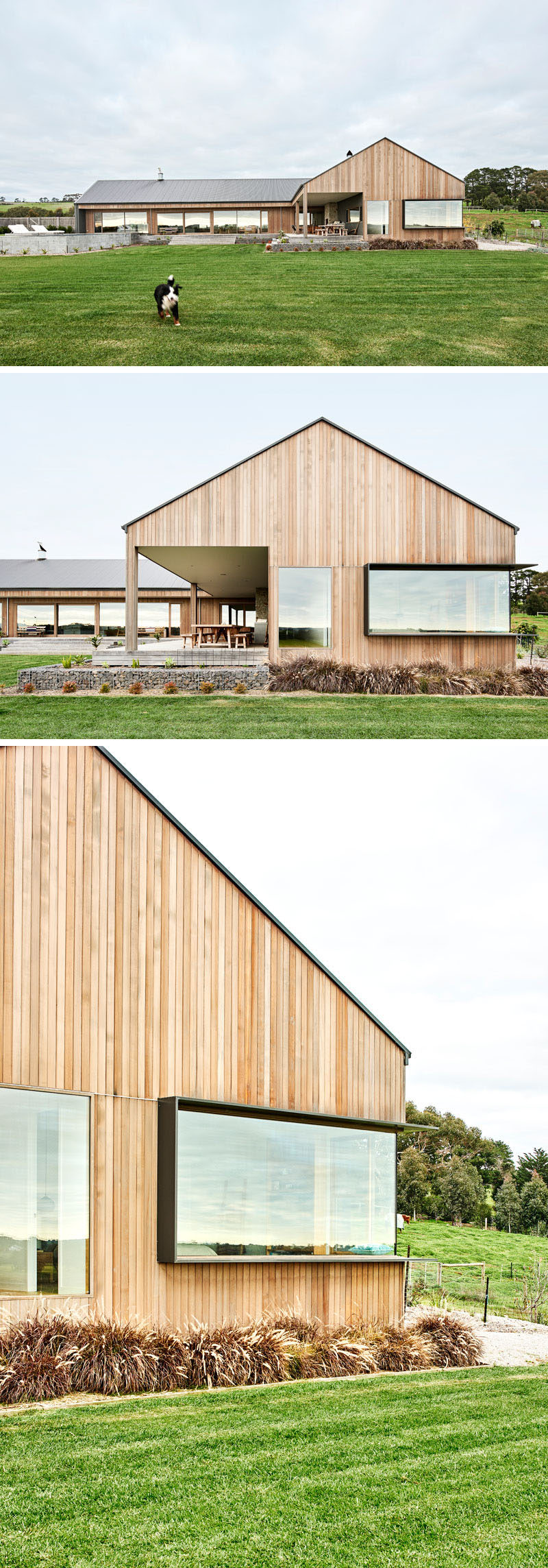 This modern ranch-inspired house has plenty of windows, including one that has a frame that protrudes out from the wood siding. #WoodSiding #Windows #ModernHouse #Architecture