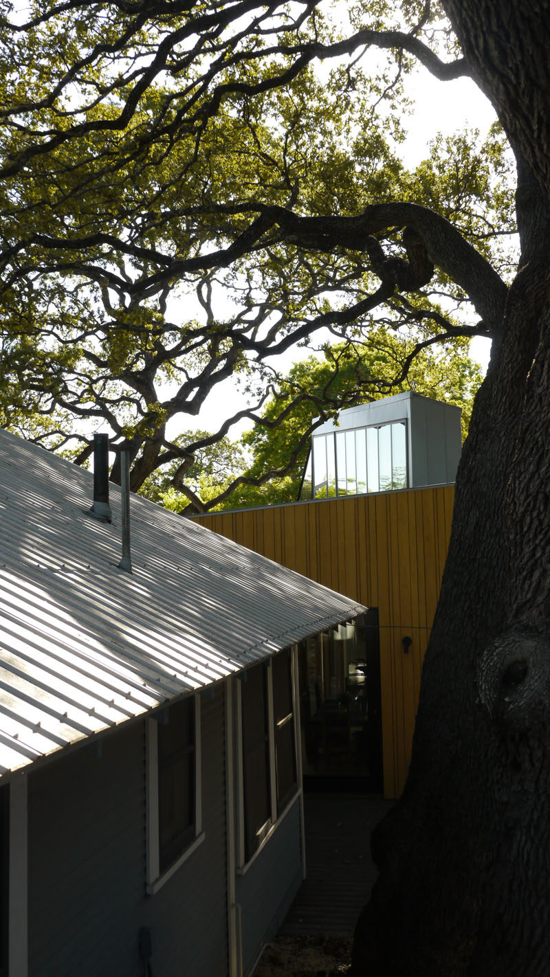 Murray Legge Architecture have designed a modern addition to a 1920s bungalow in Central Austin, Texas, that wraps around an existing 150-year-old oak tree. #Architecture #ModernAddition #ModernArchitecture