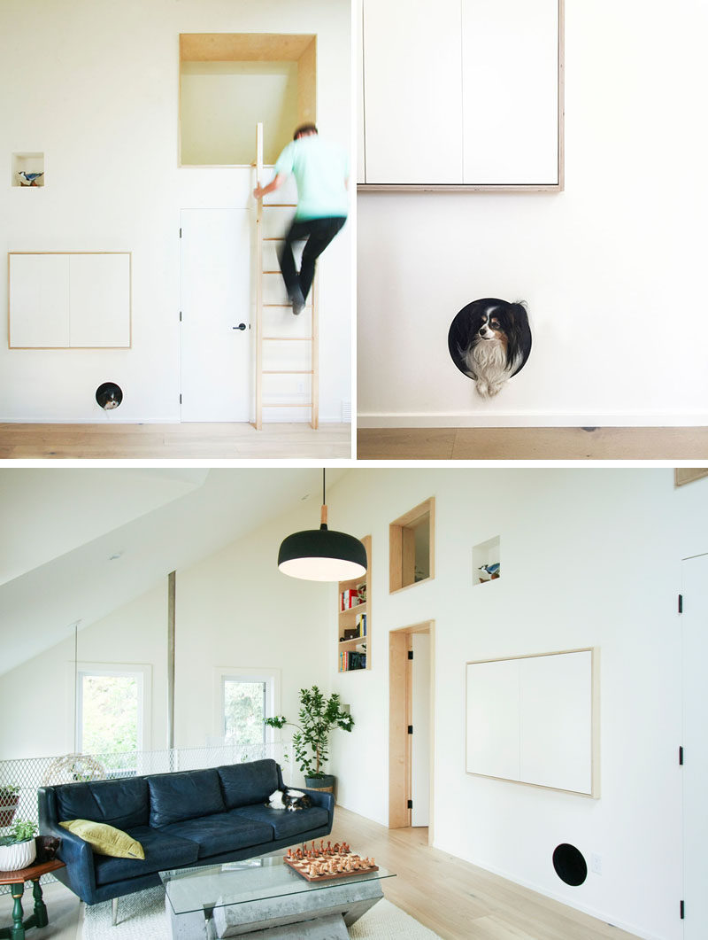 This modern laneway house has a built-in dog bed nook that's been built into the wall and allows the family pet to feel safe, and removes the need for a dog bed on the floor. #BuiltInDogBed #DogBed #InteriorDesign