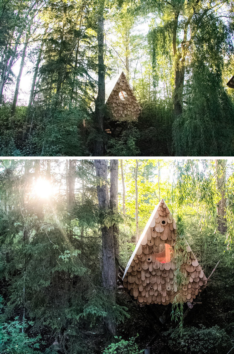 Studio North have designed the Birdhut, a treetop perch that sits within the tree canopy and can accommodate two people, and has a facade with twelve birdhouses. #Cabin #Hut #BirdHouse