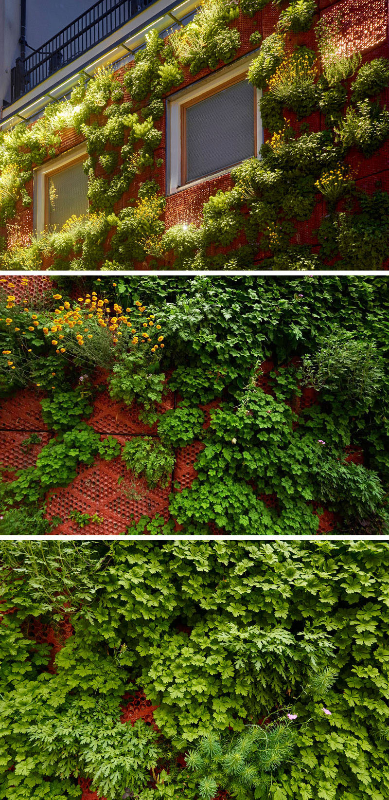 Butong, a Swedish company that creates cast concrete panels, have installed a green wall on a small building in Uppsala. #GreenWall #VerticalGarden #BuildingFacade