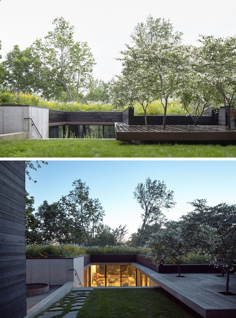 This modern house that sits on a hillside, has a green roof and a sunken entry courtyard. #Architecture #GreenRoof #ModernHouse