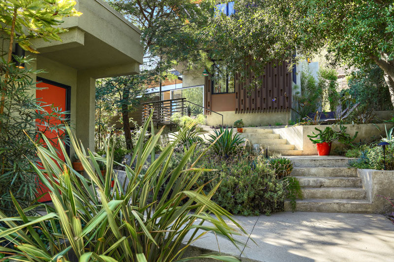 This contemporary house has concrete steps surrounded by landscaping that lead down to a guest house. #Landscaping #OutdoorStairs