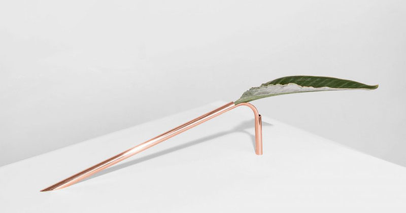Sao Paulo based designer Guilherme Wentz has created the Solo Vase, a minimalist copper vase that brings nature into the home in a delicate and unconventional way. #Decor #Vase #Copper #Minimalist