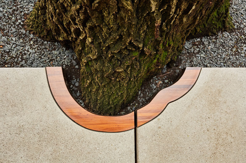 CityDeskStudio have designed a path with precast white concrete pavers, that have been carved out to protect a Red Oak tree. #Landscaping #Garden #Path