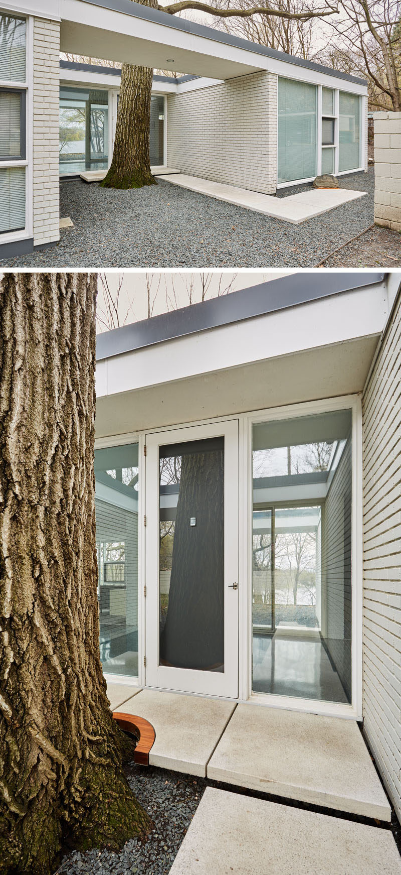 CityDeskStudio have designed a path with precast white concrete pavers, that have been carved out to protect a Red Oak tree. #Landscaping #Garden #Path