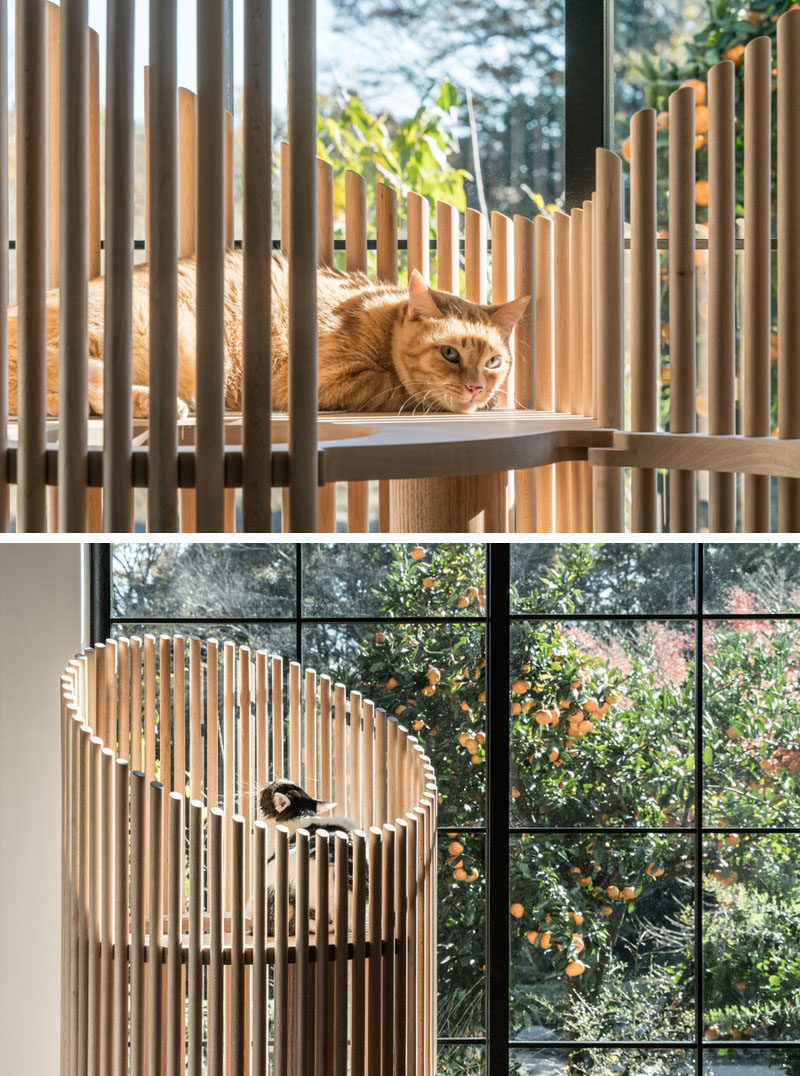 Designer Yoh Komiyama has designed NEKO, a modern cat tree that offers a natural wood home for the family pet that also fits in with a modern interior. #PetFurniture #Cats #CatTree #ModernCatTree