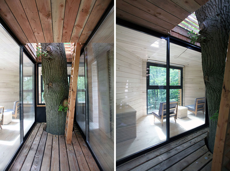 Upon arriving at this modern tree house, there's a small patio around the trunk that has the feeling of protection, much like an actual nest. Two large sliding glass doors provide access to the living area. #ModernTreeHouse #ModernCabin