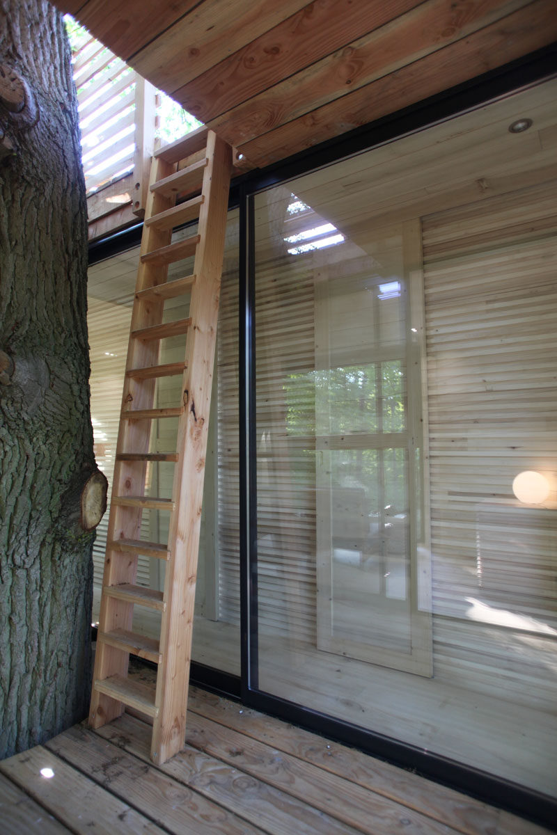 This modern tree house has a wooden ladder inviting guests to continue the ascent to a rooftop terrace. #TreeHouse #Architecture