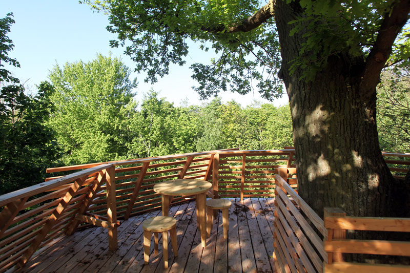 This modern tree house has a rooftop terrace with 360 ° panoramic views of the forest. #TreeHouse #Architecture