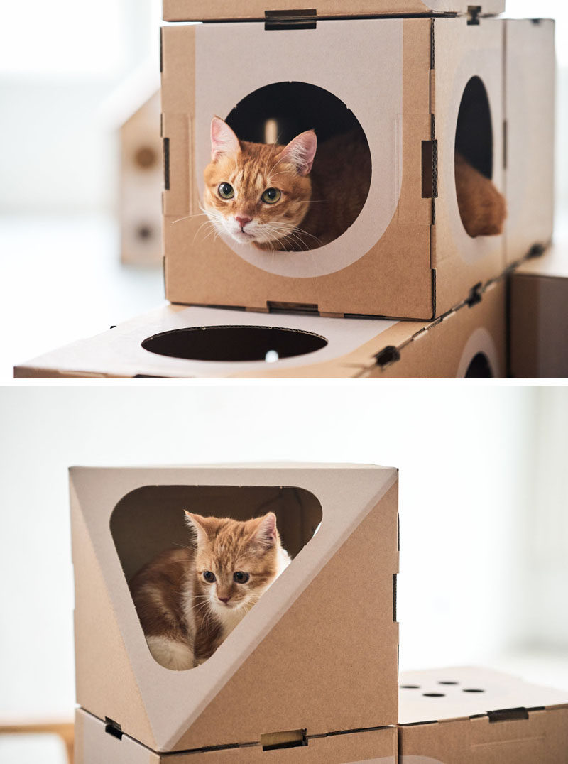 Design studio A Cat Thing have created a fun cardboard cat furniture that has a cariety of shapes and sizes. #CatFurniture #Cats #Design