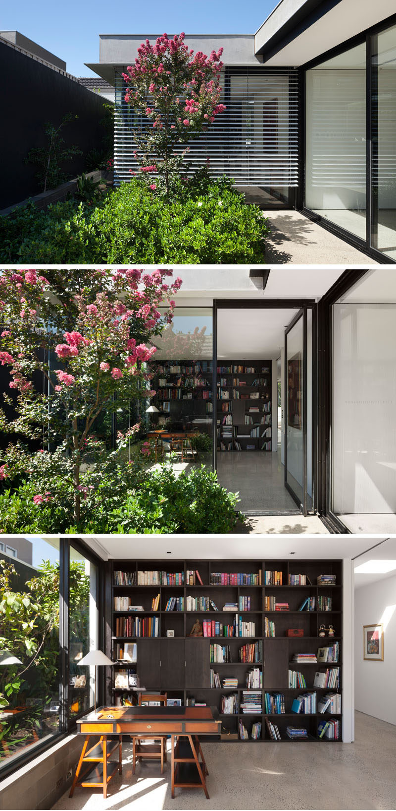 Somewhat hidden behind the plants in this modern courtyard is a door to an office. Inside, there's floor-to-ceiling wood shelving and a desk sits by the window. #HomeOffice #Shelving