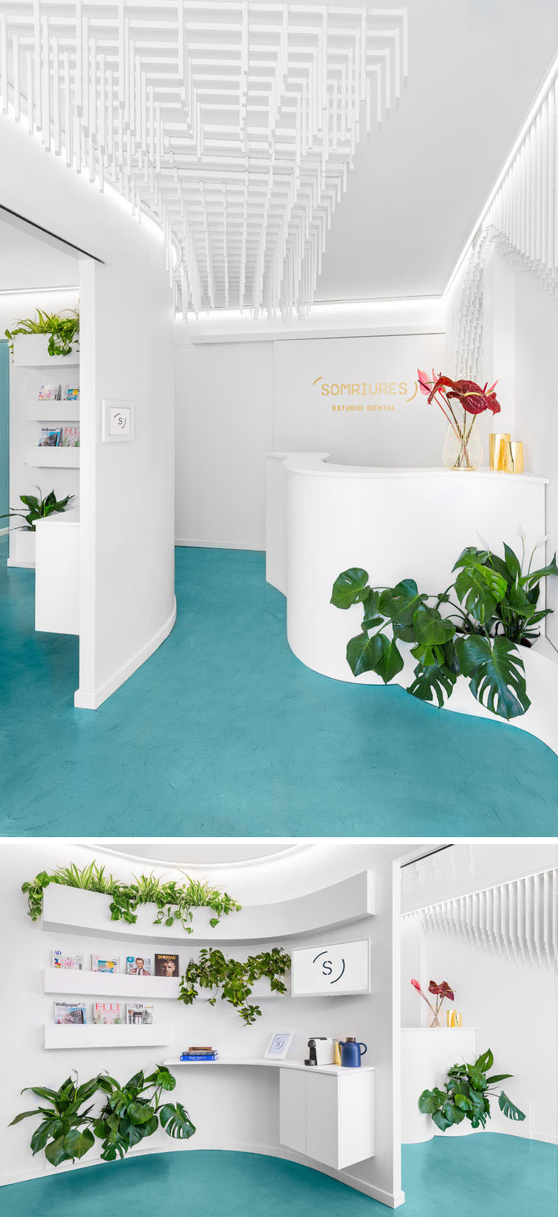 This modern dental clinic features a curved reception desk that greets visitors, while plants add a natural touch. There's a waiting room beside the reception area and white shelving wraps around the corner, creating a place to store reading materials. #InteriorDesign #ReceptionDesk #Dentist #Shelving