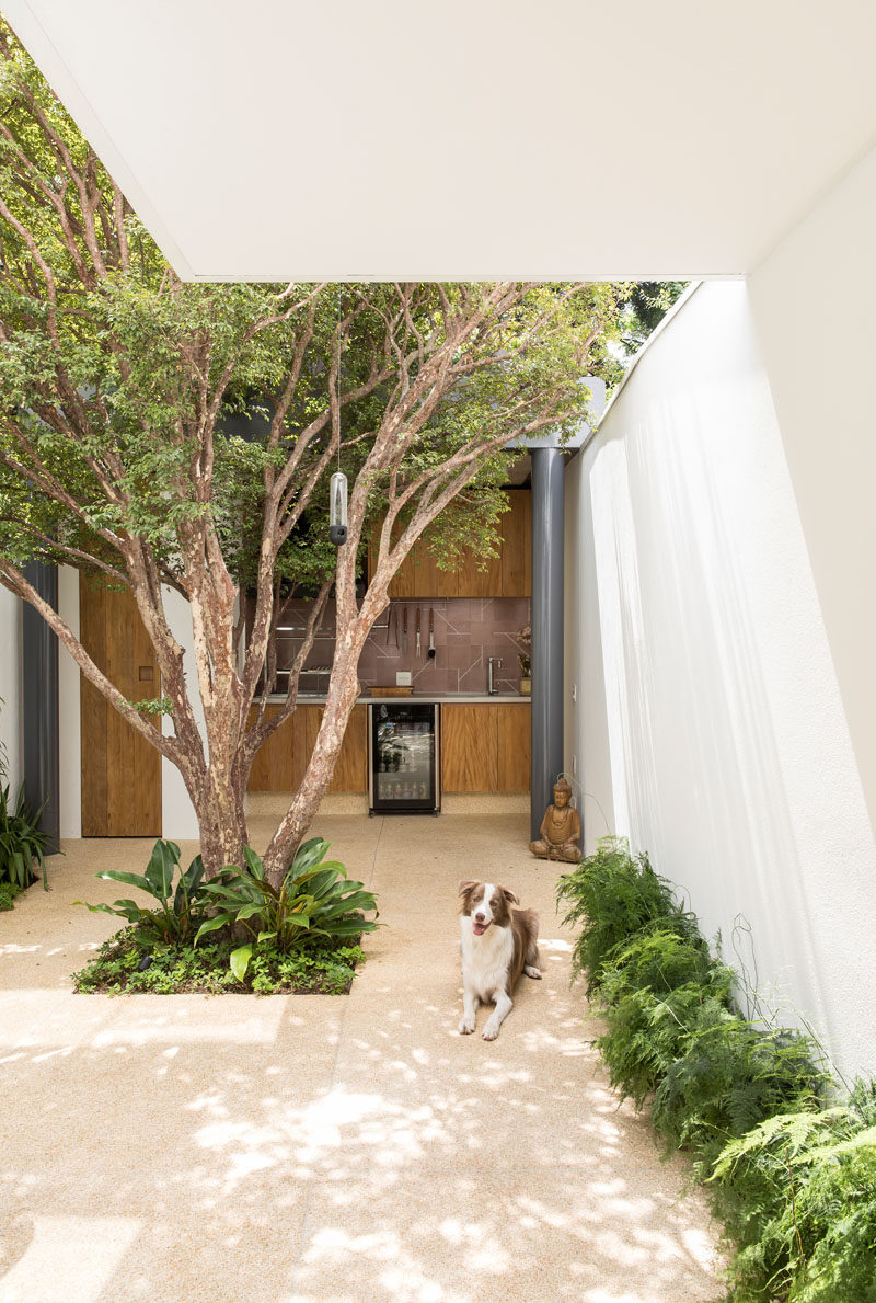 This modern house has a small a courtyard with trees and small plants, as well as an outdoor kitchen. #Courtyard #OutdoorKitchen