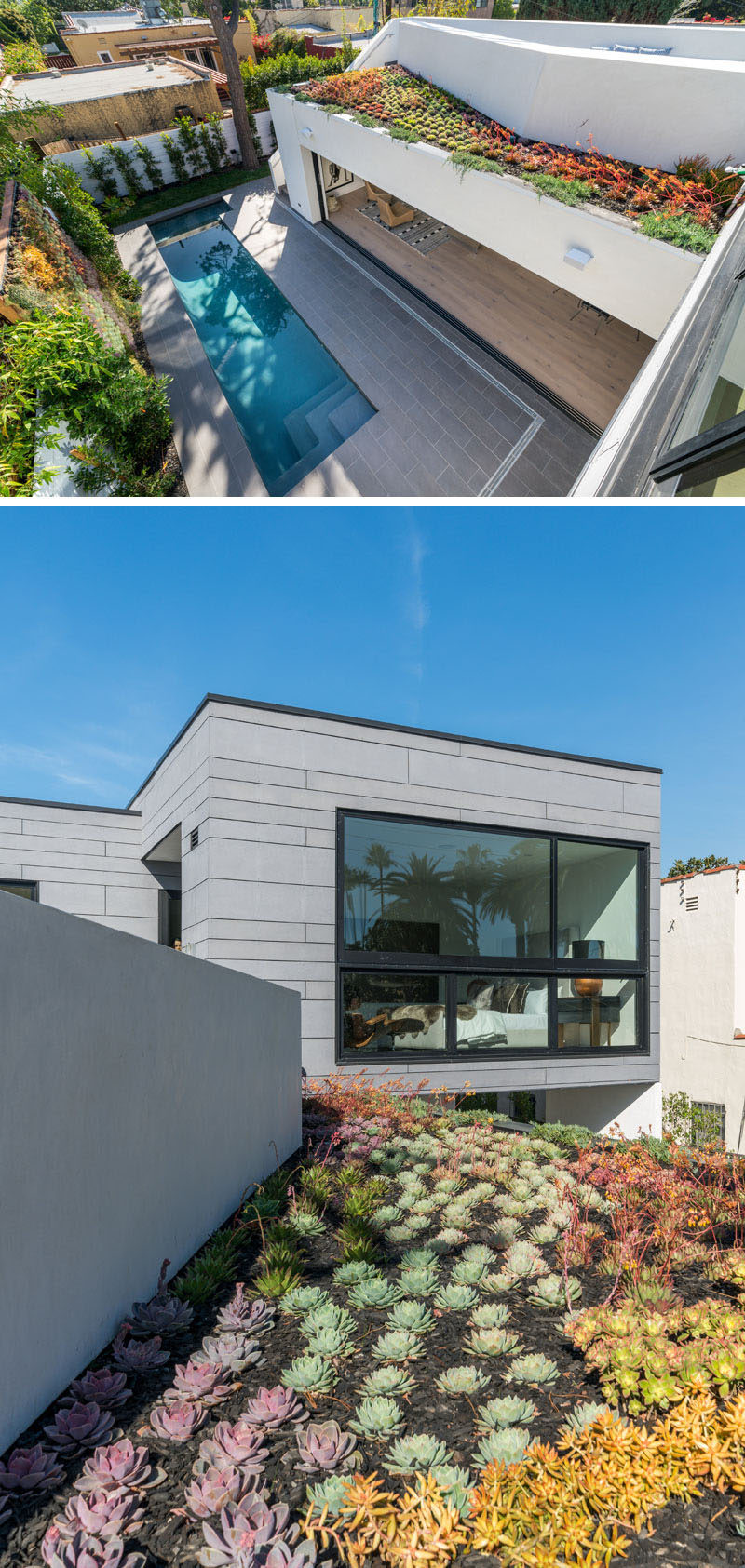 This modern house has a hidden green roof that's filled with succulents. #GreenRoof #Succulents