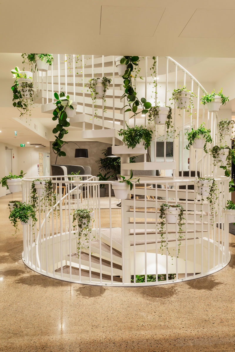 A white spiral staircase decorated with house plants connects the different floors of this modern office. #SpiralStairs #WhiteStairs #StairDesign