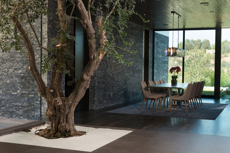 This modern house has an olive tree that lives in the foyer, with the help of grow lights, and off the the side, is a formal dining room. #DiningRoom #OliveTree
