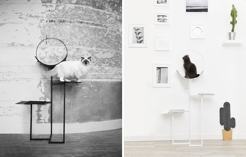 Meyou have designed a modern cat tree and a 'cactus' cat scratching tree. Click through to see more photos. #CatTree #CatFurniture #CatStand #ScratchingPost