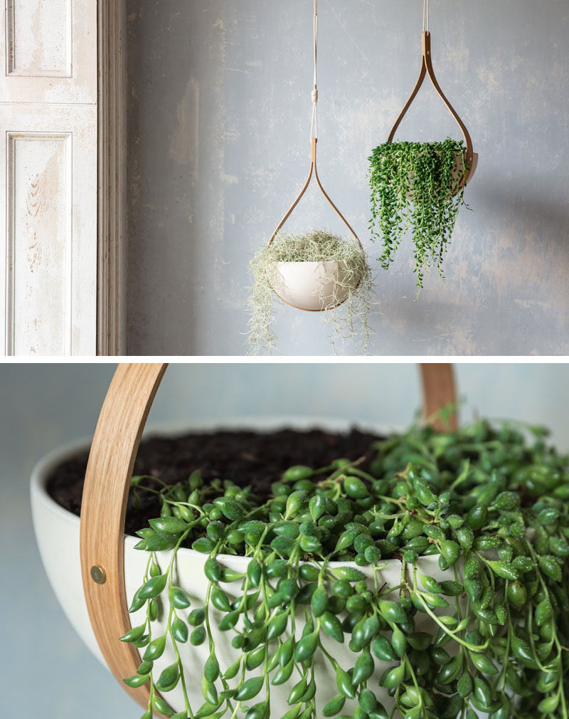 From his studios in Cornwall, England, designer Tom Raffield has created his new line of modern wood planters named 'The Green Range'. #ModernPlanter #Plants #HangingPlanter #Design