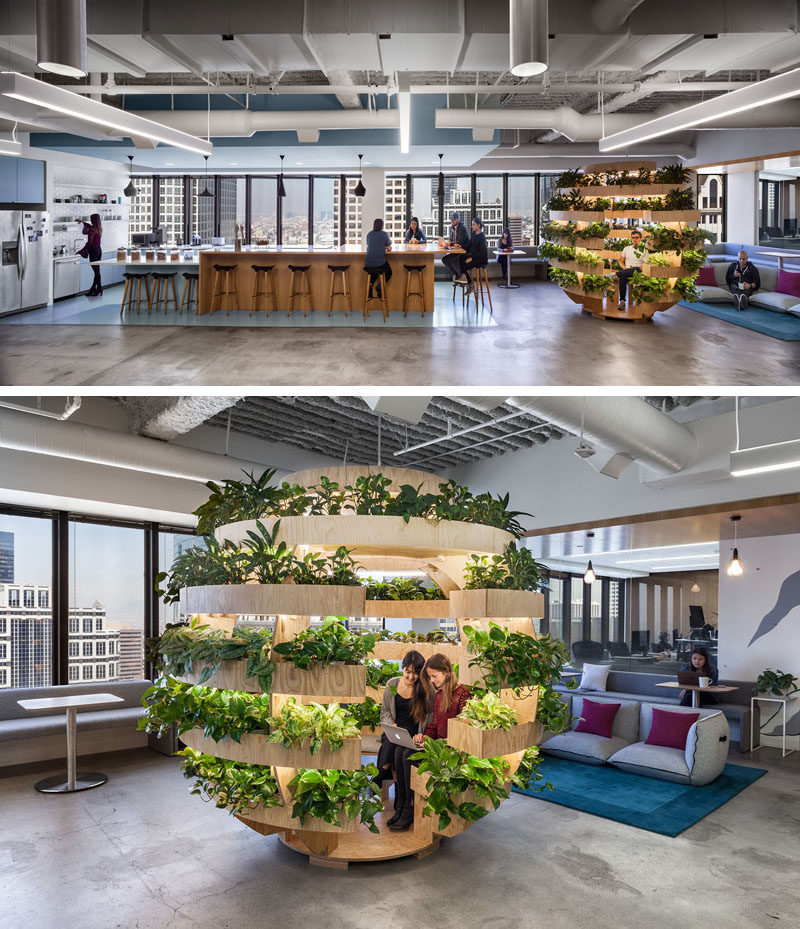 This modern healthcare office has a Growroom, a spherical garden that empowers people to grow food. #Growroom #Plants #OfficeDesign #Workplace
