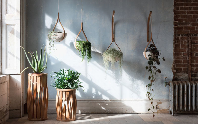 From his studios in Cornwall, England, designer Tom Raffield has created his new line of modern wood planters named 'The Green Range'. #ModernPlanter #Plants #HangingPlanter #PlantStand #Design