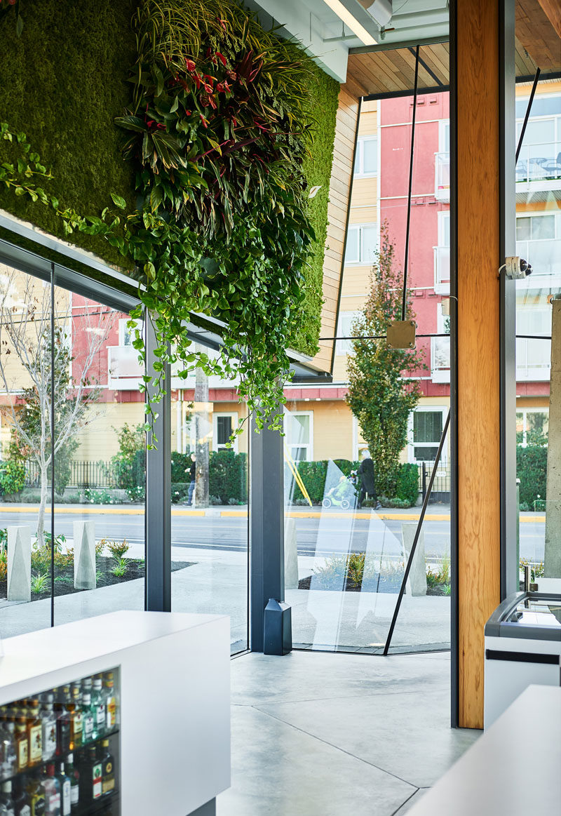 A large green wall runs the length of this modern liquor store, reducing the transfer of heat through the wall and regulating the air quality of the interior space. #LiquorStore #GreenWall #RetailDesign