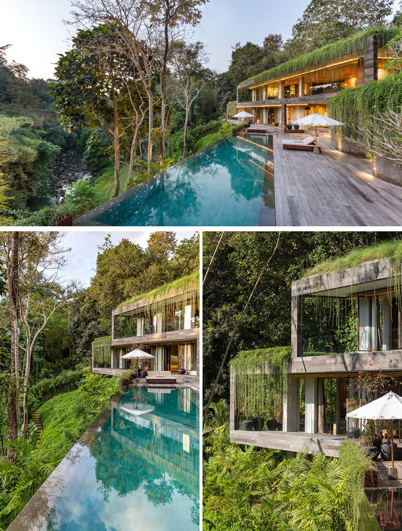 Constructed on an acre of land, overlooking a dense forest and a gentle river below, this modern villa sits on a steep contour with an 11-meter difference of level between the arrival area and the river that runs the western length of the property. #ModernHouse #Architecture #SwimmingPool