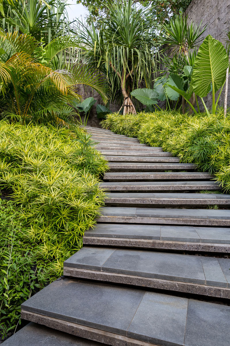 The luscious tropical landscape of this modern house becomes the backdrop for a calming retreat, where a stepped path surrounded by plants leads from the parking area down to the house. #Landscaping #OutdoorStairs #Garden #LandscapeDesign