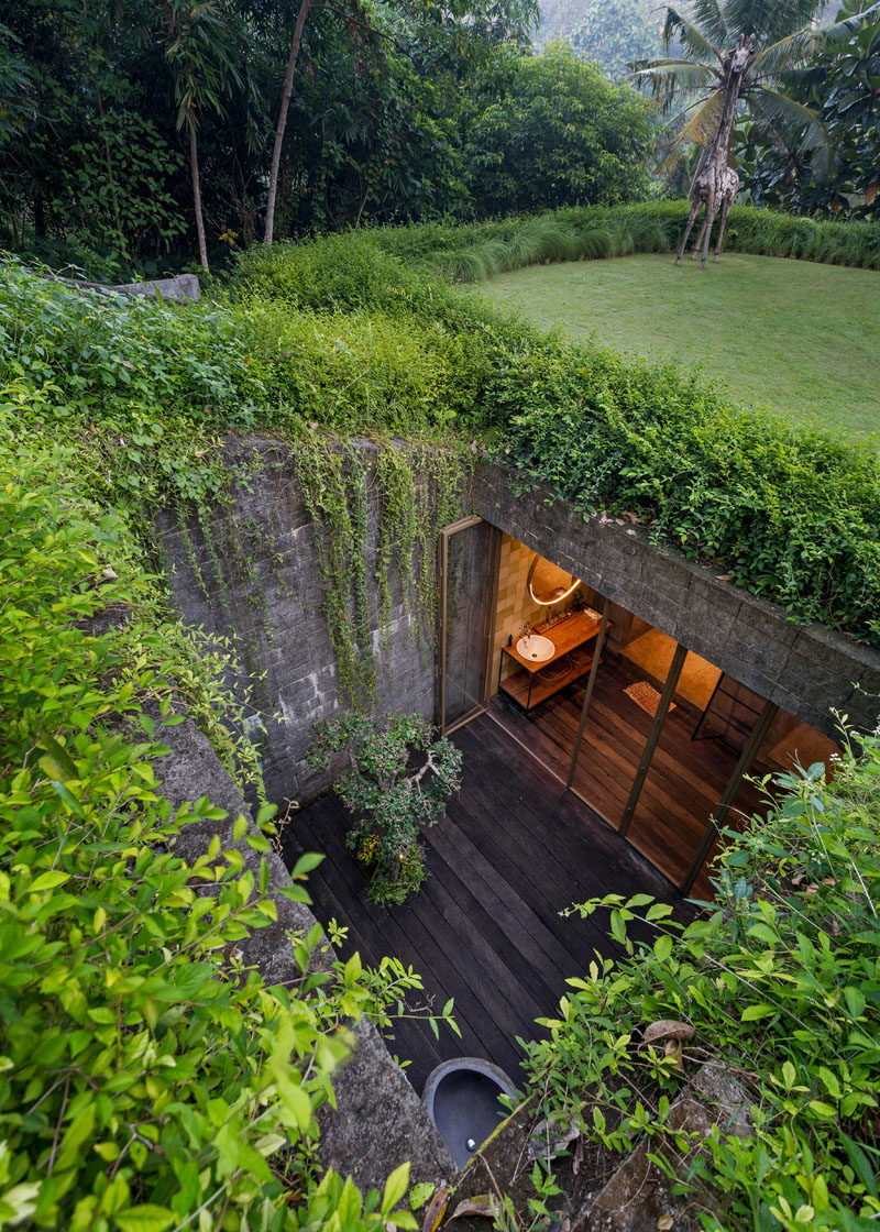 This modern house has a ‘camouflaged’ roof, which provides a cooling effect to the spaces below and assists with rainwater collection. #GreenRoof #Courtyard #ModernHouse