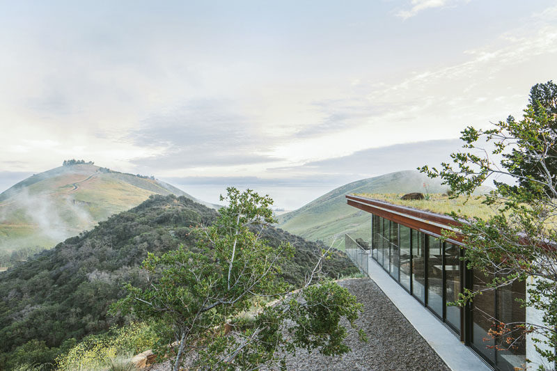 Nestled into a steep hillside, this modern guest house was designed with a low visual and environmental impact on the surrounding landscape, and it's disguised by having a low profile and a green roof. #GuestHouse #Architecture #GreenRoof