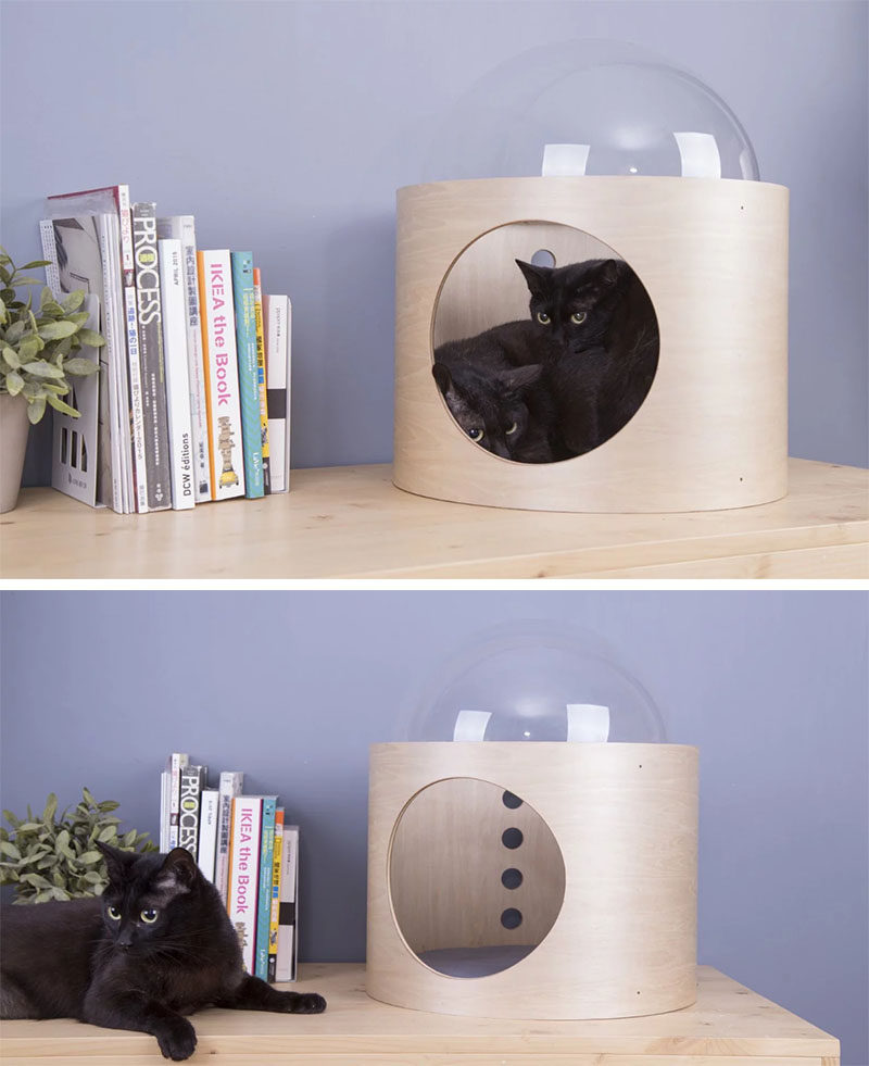 MYZOO have created the Spaceship Series, a line of fun and modern cat beds, plus one can be wall-mounted. #CatBed #ModernCatBed #WallMountedCatBed