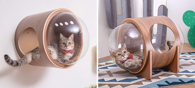 MYZOO have created the Spaceship Series, a line of fun and modern cat beds, plus one can be wall-mounted. #CatBed #ModernCatBed #WallMountedCatBed