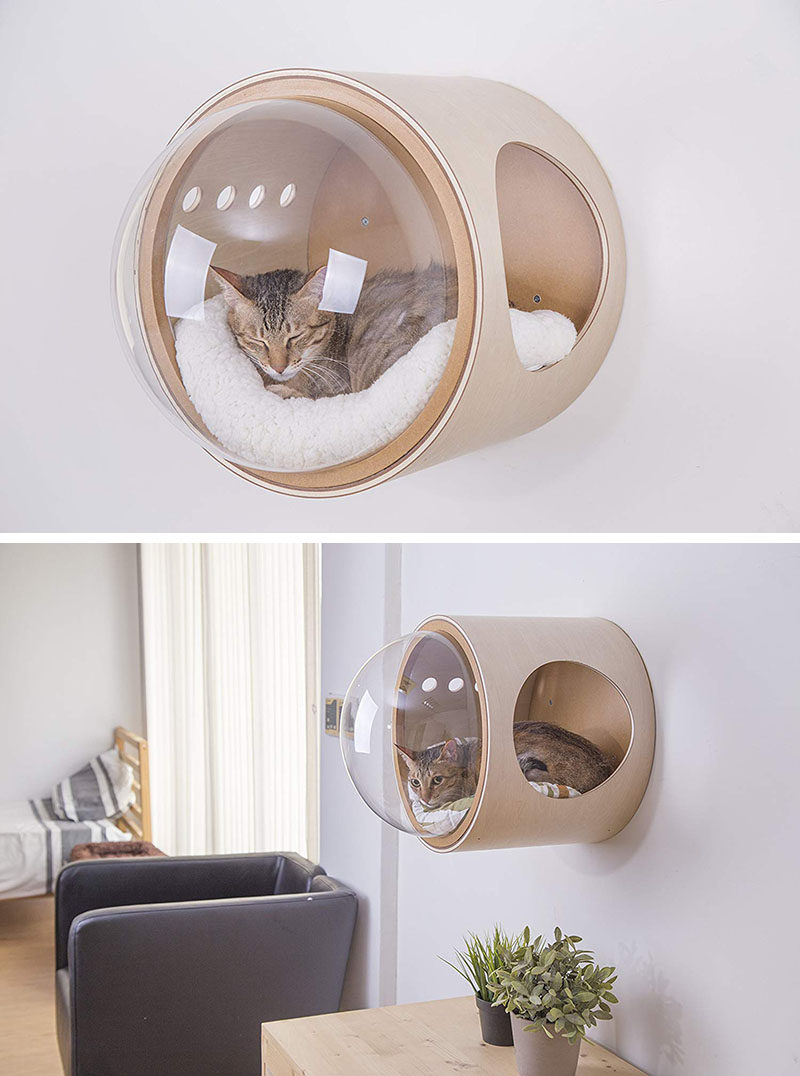 MYZOO have created the Spaceship Series, a line of fun and modern cat beds, plus one can be wall-mounted. #CatBed #ModernCatBed #WallMountedCatBed