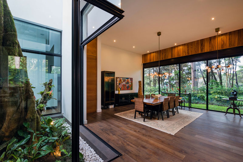 This modern house has a dining room with a wall of windows providing views of the backyard, while sliding doors open it to a lightwell with a tree. #DiningRoom #Interiors #Windows