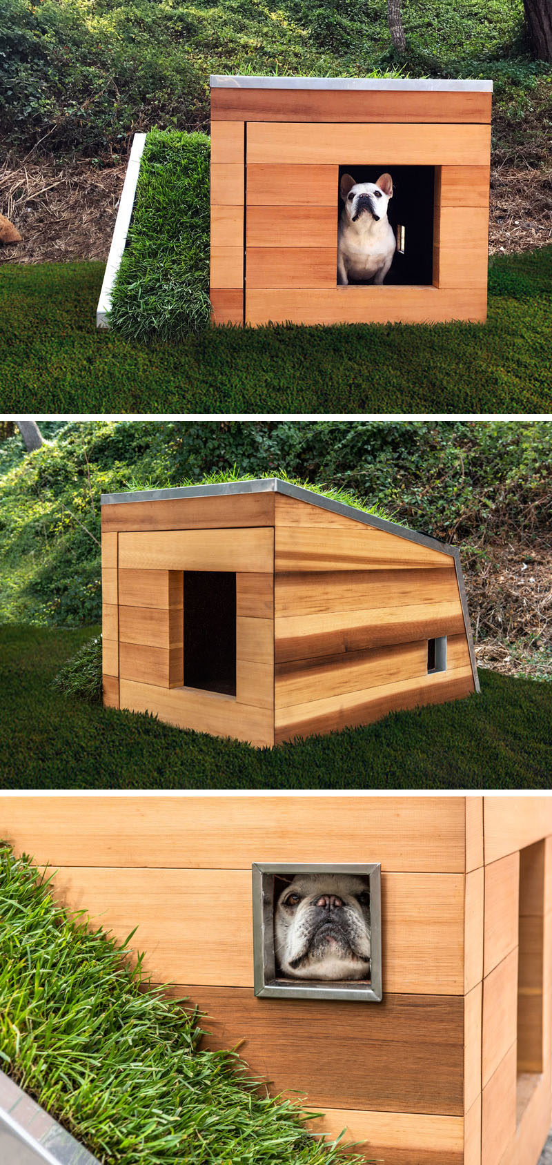 Studio Schicketanz have designed a modern Dog Dream House, that features wood construction, a green roof, storage for toys and snacks, a motion activated faucet, and a solar powered fan. #DogHouse #ModernDogHouse #Architecture #Design