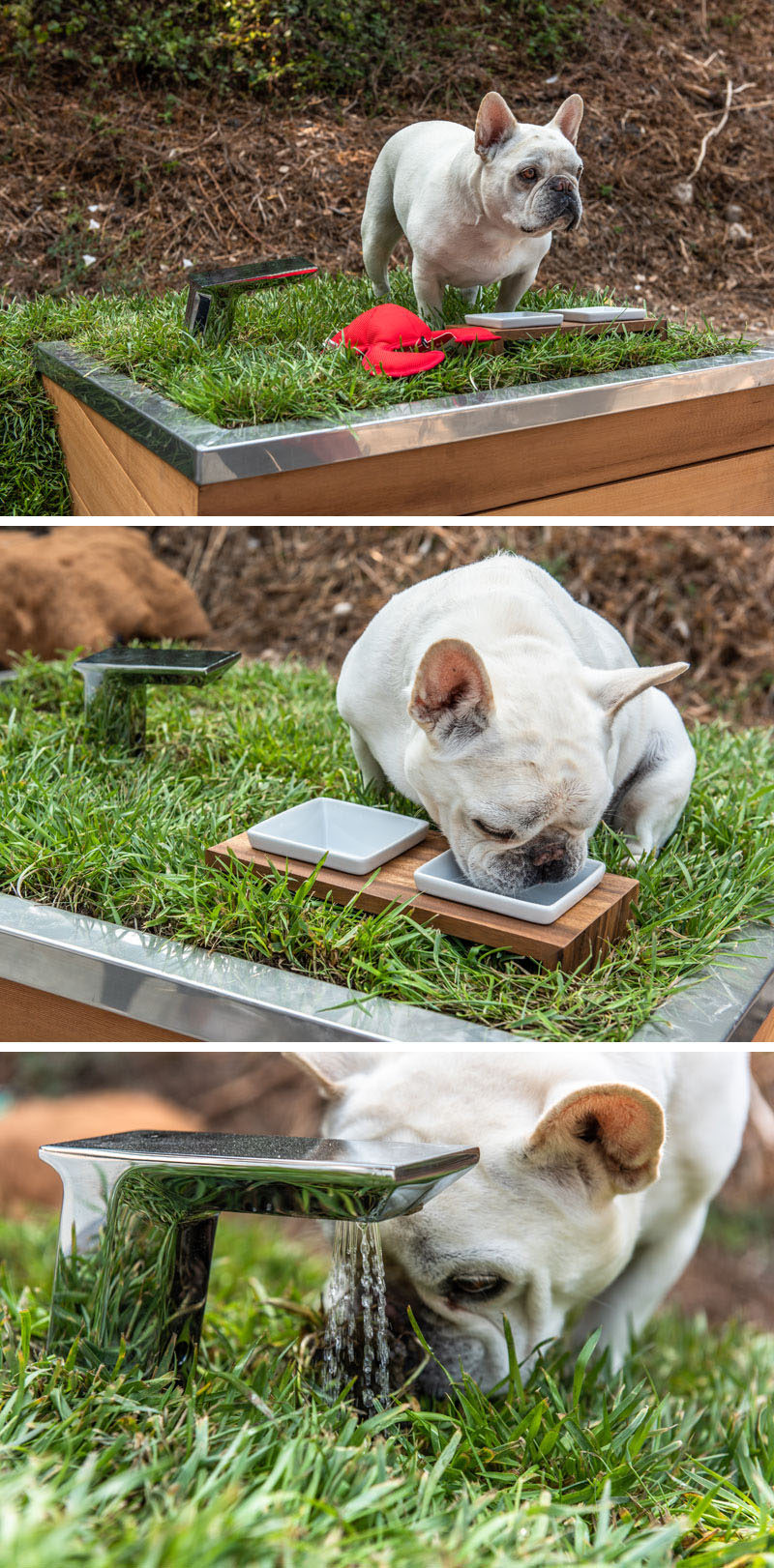 Studio Schicketanz have designed a modern Dog Dream House, that features wood construction, a green roof, storage for toys and snacks, a motion activated faucet, and a solar powered fan. #DogHouse #ModernDogHouse #Architecture #Design