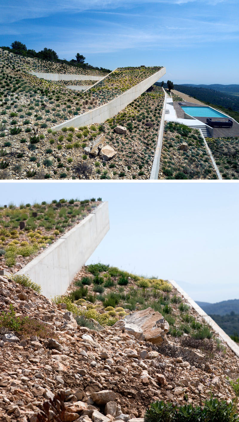 Covering the roof and terraces of this modern concrete house is a green roof with a mixture of plants and local rocks. #ConcreteHouse #GreenRoof