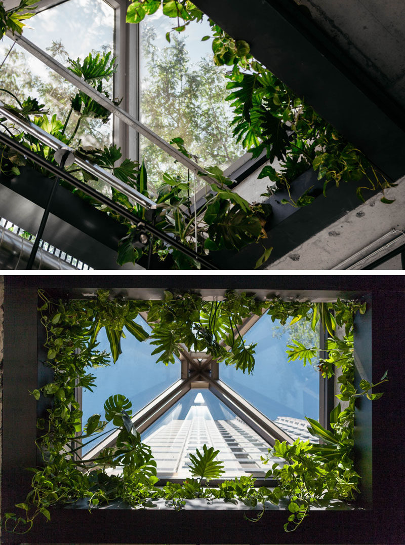 This modern sushi restaurant has a skylight that the designers surrounded by plants. #Skylight #InteriorDesign #Window #Plants