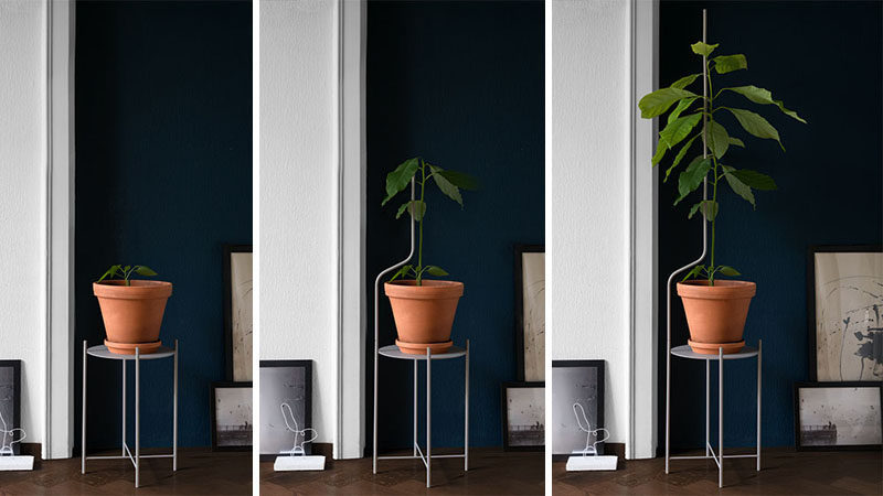 Swiss design company SUPERLIFE, have created Liana, a minimalist plant stand that evolves with your plant. #ModernPlantStand #PlantStand #Design #Furniture