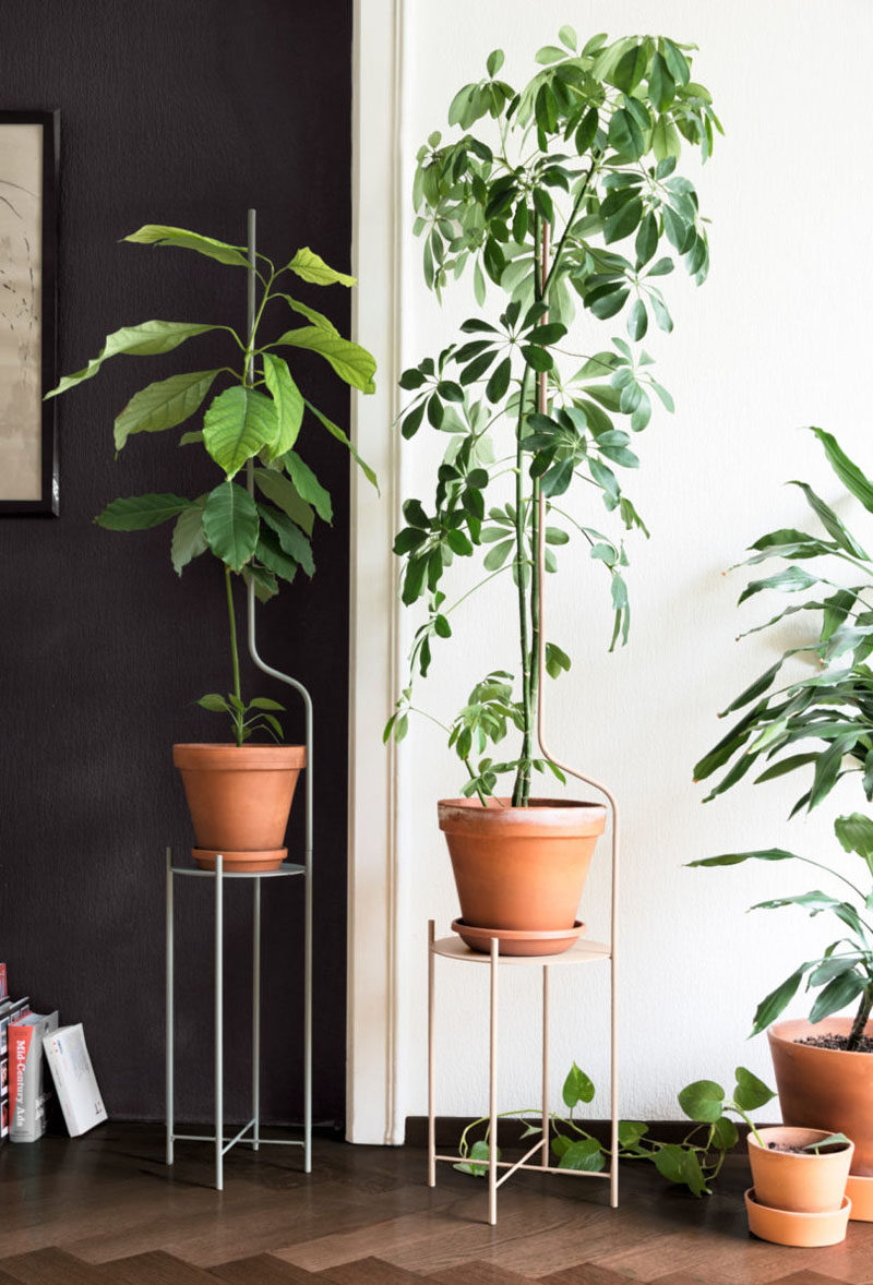 Swiss design company SUPERLIFE, have created Liana, a minimalist plant stand that evolves with your plant. #ModernPlantStand #PlantStand #Design #Furniture