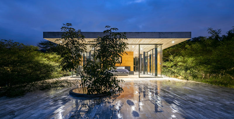 The master bedroom of this modern house, opens to the roof of the main level of the house, and a cutout in the roof, allows a tree to grow through it. #MasterBedroom #Architecture