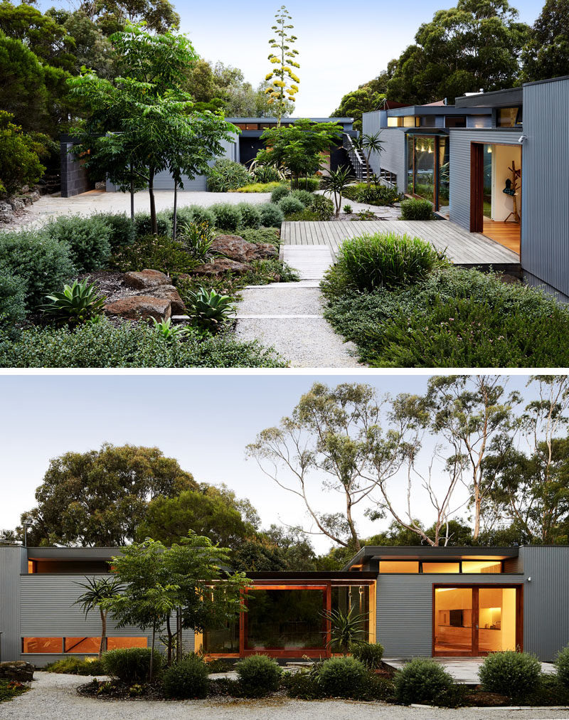 This modern house has a lush courtyard that guides visitors to the front door. #Landscaping #Courtyard