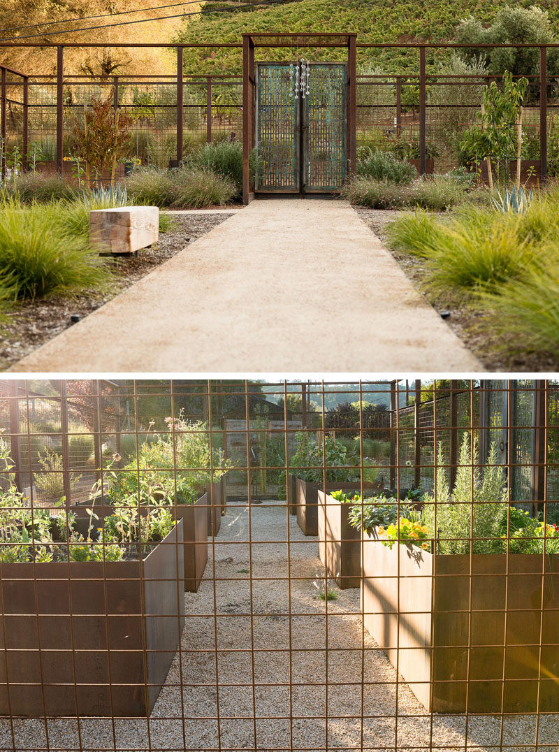 In this backyard, an open-top steel cage with a decorative doors, surrounds a herb and vegetable garden, that also features weathered steel raised planters. #HerbGarden #VegetableGarden #Landscaping #LandscapeDesign