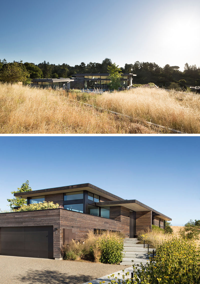 Cedar siding, stained in a warm grey, is complemented by the crisp horizontal lines of the black roof, both of which help to embed this modern house in its natural surroundings. #ModernHouse #HouseDesign #ModernArchitecture