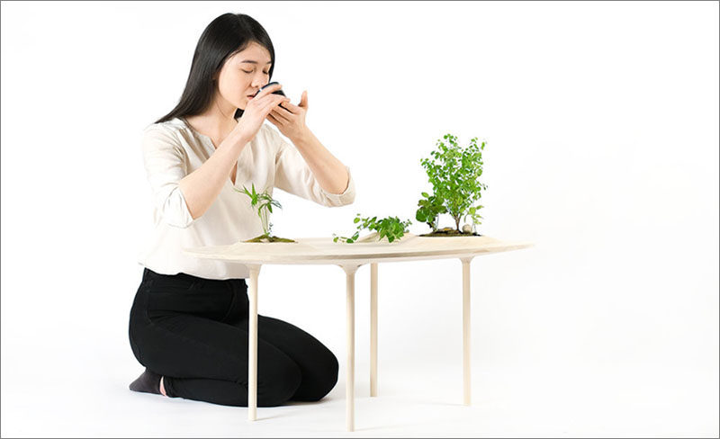 Toronto-based design studio Wooyoo, has created the Pokopoko Table, a modern wood table that has small pockets of green space. #ModernTable #CoffeeTable #Design #ModernFurniture