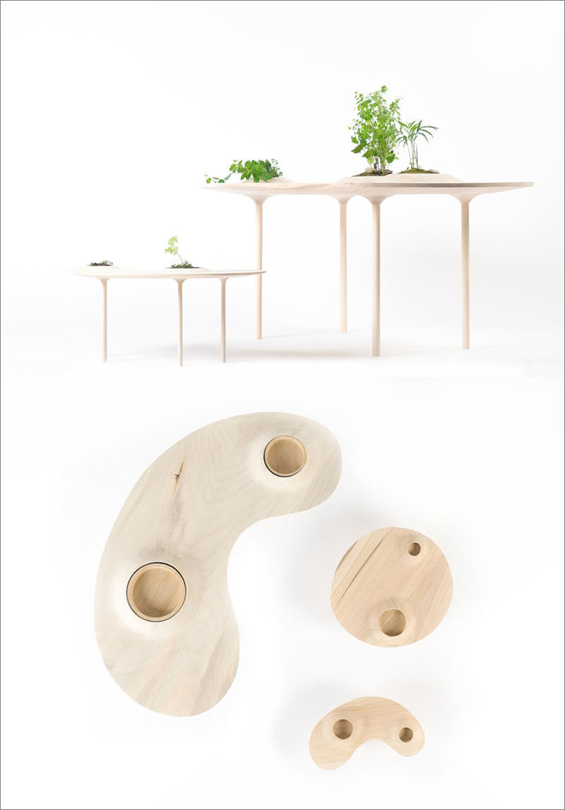 Toronto-based design studio Wooyoo, has created the Pokopoko Table, a modern wood table that has small pockets of green space. #ModernTable #CoffeeTable #Design #ModernFurniture